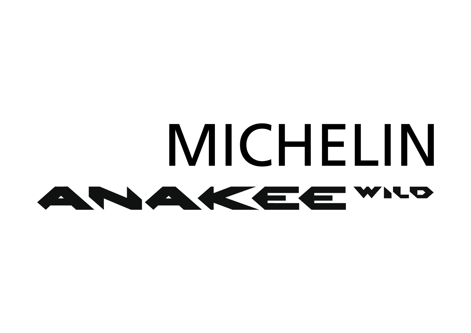 michelin_anakee_wild_021.png